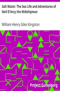 Salt Water: The Sea Life and Adventures of Neil D'Arcy the Midshipman by William Henry Giles Kingston