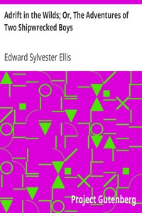 Adrift in the Wilds; Or, The Adventures of Two Shipwrecked Boys by Edward Sylvester Ellis