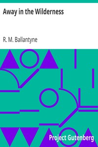 Away in the Wilderness by R. M. (Robert Michael) Ballantyne