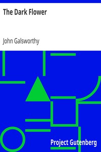 The Dark Flower by John Galsworthy