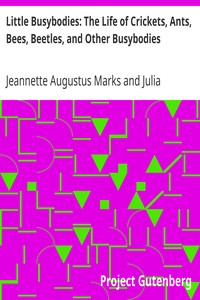 Little Busybodies: The Life of Crickets, Ants, Bees, Beetles, and Other Busybodies by Jeannette Augustus Marks