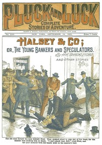 Halsey & Co.
or, The Young Bankers and Speculators by H. K. (Harvey King) Shackleford
