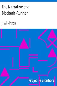The Narrative of a Blockade-Runner by J. (John) Wilkinson