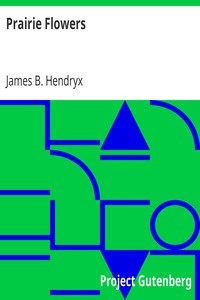 Prairie Flowers by James B. (James Beardsley) Hendryx