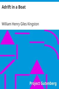 Adrift in a Boat by William Henry Giles Kingston