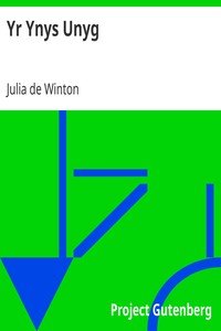 Yr Ynys Unyg
The Lonely Island by Julia de Winton
