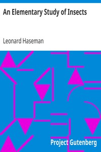 An Elementary Study of Insects by Leonard Haseman