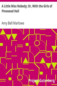 A Little Miss Nobody; Or, With the Girls of Pinewood Hall by Amy Bell Marlowe