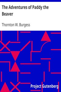 The Adventures of Paddy the Beaver by Thornton W. (Thornton Waldo) Burgess