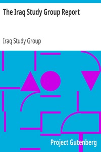 The Iraq Study Group Report by Iraq Study Group (U.S.)
