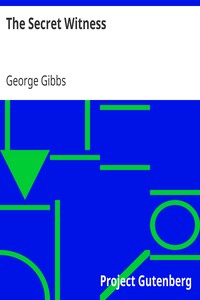 The Secret Witness by George Gibbs