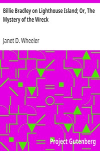 Billie Bradley on Lighthouse Island; Or, The Mystery of the Wreck by Janet D. Wheeler