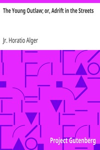 The Young Outlaw; or, Adrift in the Streets by Horatio Alger