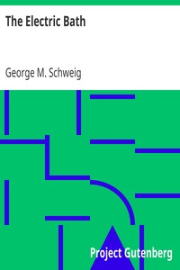 The Electric Bath by George M. Schweig