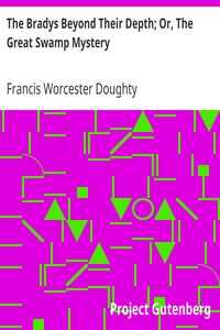 The Bradys Beyond Their Depth; Or, The Great Swamp Mystery by Francis Worcester Doughty