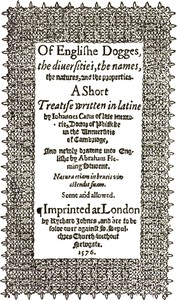 De Canibus Britannicis: Of Englishe Dogges by John Caius