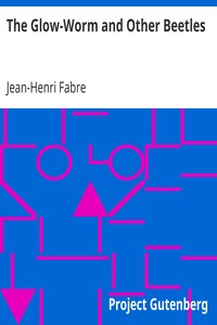 The Glow-Worm and Other Beetles by Jean-Henri Fabre