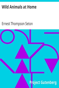 Wild Animals at Home by Ernest Thompson Seton