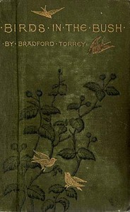 Birds in the Bush by Bradford Torrey