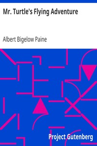 Mr. Turtle's Flying Adventure
Hollow Tree Stories by Albert Bigelow Paine