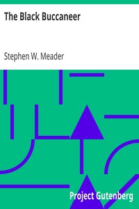 The Black Buccaneer by Stephen W. (Stephen Warren) Meader