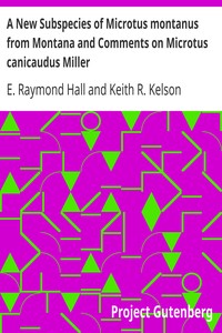 A New Subspecies of Microtus montanus from Montana and Comments on Microtus canicaudus Miller by E. Raymond (Eugene Raymond) Hall