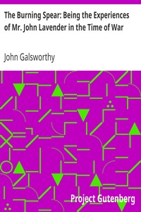 The Burning Spear: Being the Experiences of Mr. John Lavender in the Time of War by John Galsworthy