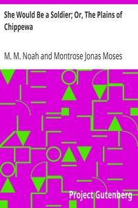 She Would Be a Soldier; Or, The Plains of Chippewa by M. M. (Mordecai Manuel) Noah