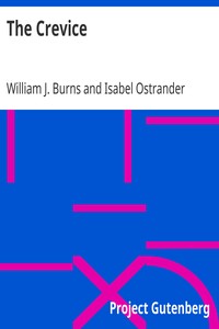 The Crevice by William J. Burns