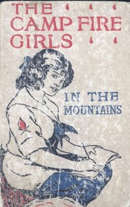 The Camp Fire Girls in the Mountains; Or, Bessie King's Strange Adventure by Jane L. Stewart