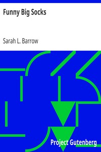 Funny Big Socks
Being the Fifth Book of the Series by Sarah L. Barrow