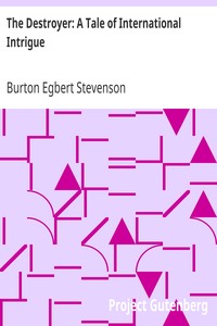The Destroyer: A Tale of International Intrigue by Burton Egbert Stevenson