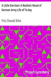 A Little Garrison: A Realistic Novel of German Army Life of To-day by Fritz Oswald Bilse