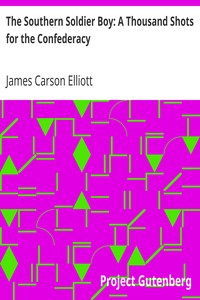 The Southern Soldier Boy: A Thousand Shots for the Confederacy by James Carson Elliott