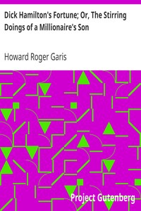 Dick Hamilton's Fortune; Or, The Stirring Doings of a Millionaire's Son by Howard Roger Garis