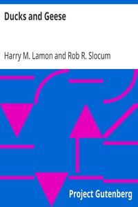 Ducks and Geese by Harry M. Lamon