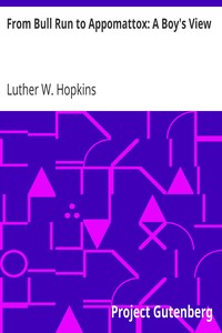 From Bull Run to Appomattox: A Boy's View by Luther W. Hopkins