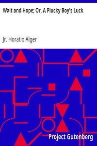 Wait and Hope; Or, A Plucky Boy's Luck by Horatio Alger