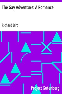 The Gay Adventure: A Romance by Richard Bird