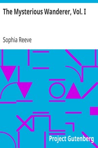 The Mysterious Wanderer, Vol. I by Sophia Reeve