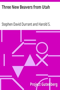 Three New Beavers from Utah by Stephen David Durrant