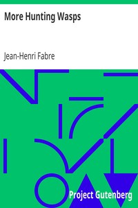 More Hunting Wasps by Jean-Henri Fabre