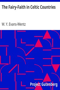 The Fairy-Faith in Celtic Countries by W. Y. (Walter Yeeling) Evans-Wentz