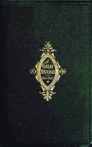 Great Mysteries and Little Plagues by John Neal