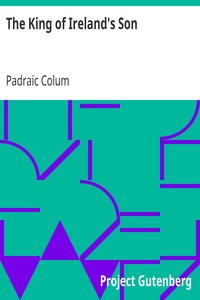 The King of Ireland's Son by Padraic Colum