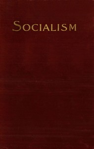 Socialism and the Social Movement in the 19th Century by Werner Sombart