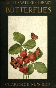 Butterflies Worth Knowing by Clarence Moores Weed