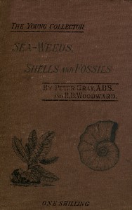 Sea-Weeds, Shells and Fossils by Peter Gray