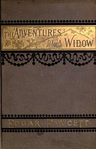 The Adventures of a Widow: A Novel by Edgar Fawcett