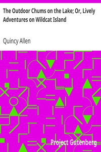 The Outdoor Chums on the Lake; Or, Lively Adventures on Wildcat Island by Quincy Allen